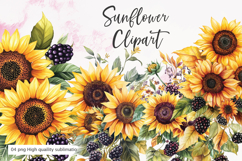 Sunflower bouquet watercolor clipart sublimation Product Image 1