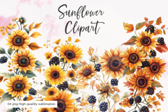 Sunflower bouquet watercolor clipart sublimation Product Image 1