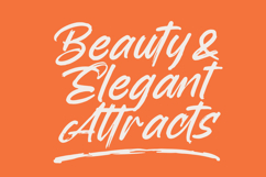 Backline Marker  Texture Brush Font Product Image 4