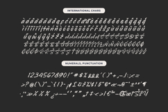 Backline Marker  Texture Brush Font Product Image 19