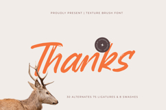 Backline Marker  Texture Brush Font Product Image 20