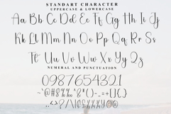 Backline Product Image 7