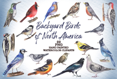 Backyard Birds of North America Product Image 1