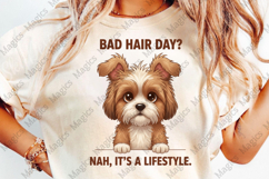 Animals Sublimation Bundle | Funny Animals PNG Design Product Image 2