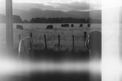 Bad Scanner Overlay Textures Product Image 4