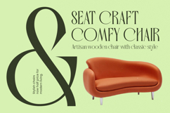 Badgeils - Modern Alternate Serif Font Product Image 6