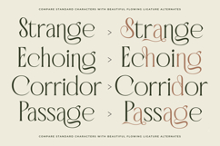 Badgeils - Modern Alternate Serif Font Product Image 10