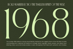 Badgeils - Modern Alternate Serif Font Product Image 13