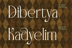 Badgeils - Modern Alternate Serif Font Product Image 14
