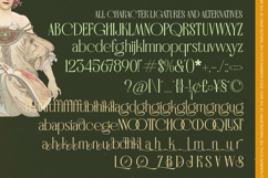Badgeils - Modern Alternate Serif Font Product Image 19