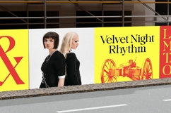 Badiek Serif Display Product Image 2