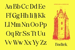 Badiek Serif Display Product Image 3