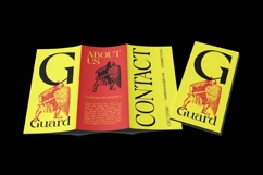 Badiek Serif Display Product Image 5