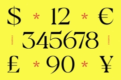 Badiek Serif Display Product Image 6