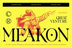 Badiek Serif Display Product Image 8