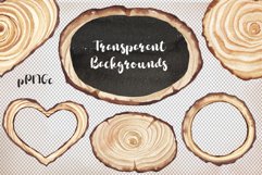 Watercolor Wood Slices Clipart Product Image 4