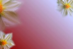 Background flower gradation for sublim or printing 15 Product Image 1