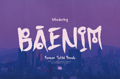 Baenim | Korean Solid Brush Product Image 1