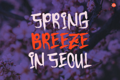 Baenim | Korean Solid Brush Product Image 2