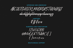 Bafferry Modern Handcrafted Signature Script Font Product Image 6