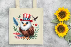 USA, 4th July, Patriotic, Eagle Clipart Product Image 6