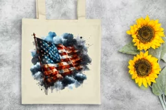American Flag USA, 4th July, Patriotic Clipart Product Image 6