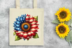 American Flag USA, 4th July, Patriotic Clipart Product Image 6