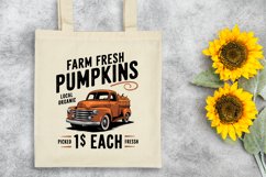 Farm Pumkin PNG Product Image 8