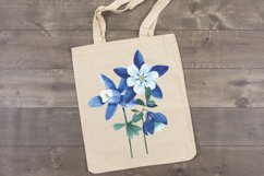 bag aquilegia flowers watercolor