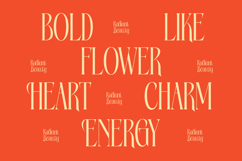 Bagena Mathew - Bold Tall Serif Display Product Image 4