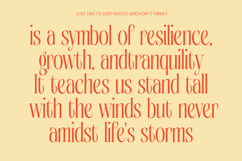 Bagena Mathew - Bold Tall Serif Display Product Image 5