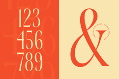 Bagena Mathew - Bold Tall Serif Display Product Image 12