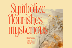 Bagena Mathew - Bold Tall Serif Display Product Image 15