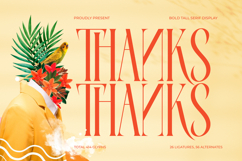 Bagena Mathew - Bold Tall Serif Display Product Image 20