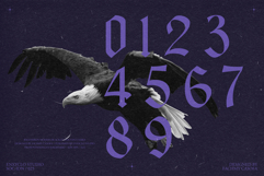 Bageshron Blackletter Font Family Product Image 20