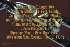 Bageshron Blackletter Font Family Product Image 3