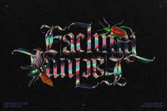 Bageshron Blackletter Font Family Product Image 4
