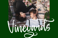 Baghera Thenetta - Modern Handwritten Font Script Product Image 4