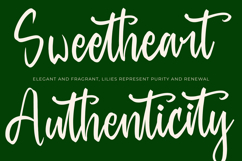 Baghera Thenetta - Modern Handwritten Font Script Product Image 8
