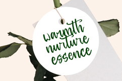 Baghera Thenetta - Modern Handwritten Font Script Product Image 9