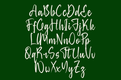 Baghera Thenetta - Modern Handwritten Font Script Product Image 14