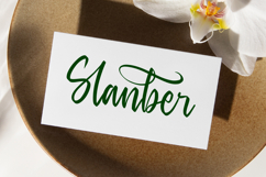 Baghera Thenetta - Modern Handwritten Font Script Product Image 15