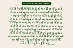 Baghera Thenetta - Modern Handwritten Font Script Product Image 18