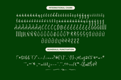 Baghera Thenetta - Modern Handwritten Font Script Product Image 19