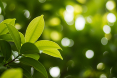 Neon cityscape at night Product Image 1