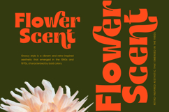 Bague Scout - Bold Sans Serif Font Product Image 13