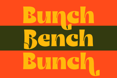 Bague Scout - Bold Sans Serif Font Product Image 14