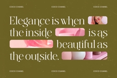 Bagvan Anstic Elegant Thin Serif Display Font Product Image 2