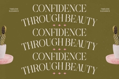 Bagvan Anstic Elegant Thin Serif Display Font Product Image 8