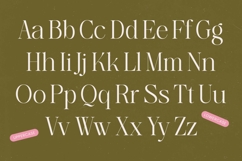 Bagvan Anstic Elegant Thin Serif Display Font Product Image 13